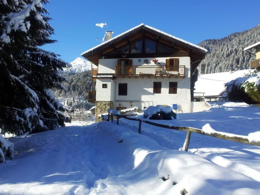 Casa Bernard Zortea Vanoi Cuore Verde Del Trentino Canal San Bovo Exterior foto
